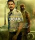 Uçak – Plane