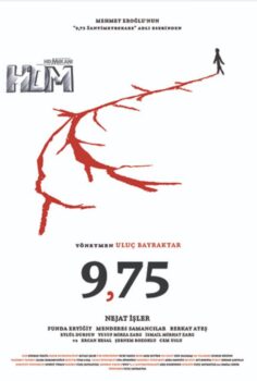 9,75 Santimetrekare
