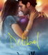Delibal