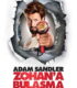 Zohan’a Bulaşma – You Don’t Mess with the Zohan